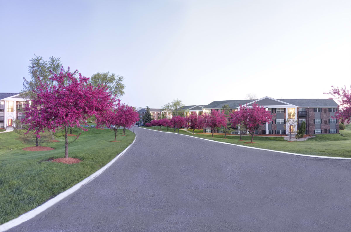 Photos and Video of Knob Hill Apartments in Okemos, MI